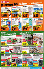 Norma Prospekt woche 30 Seite 13