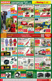 Norma Prospekt woche 30 Seite 2