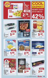 Famila Nord West Prospekt woche 29 Seite 13