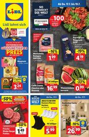 Lidl Flugblatt woche 29 Seite 1