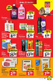 Lidl Flugblatt woche 29 Seite 45