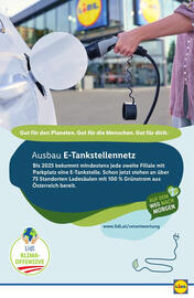 Lidl Flugblatt woche 29 Seite 47