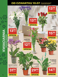 Delikatesy Centrum gazetka tydzień 28 Strona 14