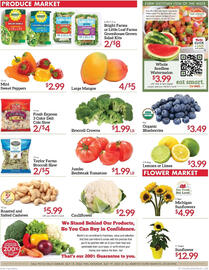 Martin's Weekly Ad week 29 Page 5