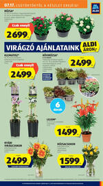 ALDI akciós újság hét 29 Oldal 25