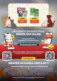 Catálogo Super Ganga Página 12