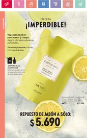 Catálogo Oriflame Página 22