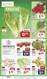 Combi folder week 29 Pagina 2