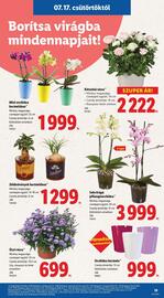 Lidl akciós újság hét 29 Oldal 19