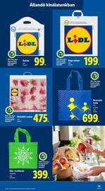 Lidl akciós újság hét 29 Oldal 29