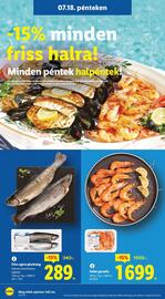 Lidl akciós újság hét 29 Oldal 40