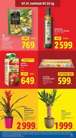 Lidl akciós újság hét 29 Oldal 61