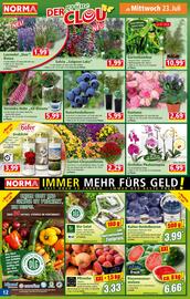 Norma Flugblatt woche 30 Seite 12