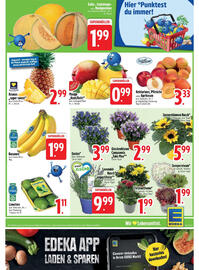 Edeka Prospekt woche 29 Seite 7