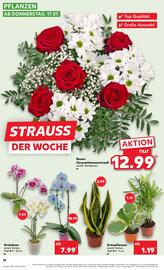 Kaufland DE folder week 29 Pagina 18