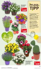 Kaufland DE folder week 29 Pagina 19