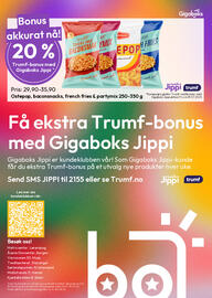 Gigaboks Kundeavis Side 8