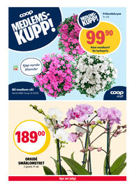 Coop Extra Kundeavis uke 29 Side 26