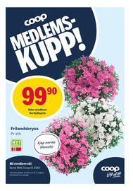 Matkroken Kundeavis uke 29 Side 6