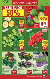 ALDI gazetka tydzień 29 Strona 27