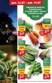 ALDI gazetka tydzień 29 Strona 5