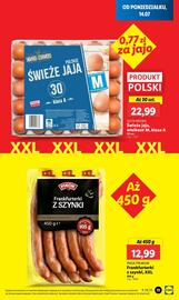 Lidl gazetka Strona 15