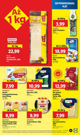 Lidl gazetka Strona 17