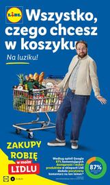Lidl gazetka Strona 4