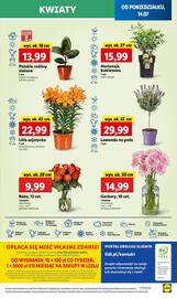 Lidl gazetka Strona 59