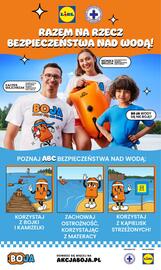 Lidl gazetka Strona 62