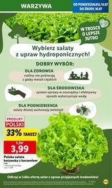 Lidl gazetka Strona 9