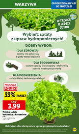 Lidl gazetka Strona 9