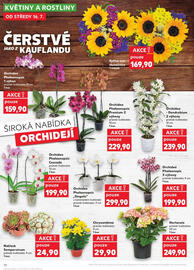 Kaufland leták týden 29 Strana 10