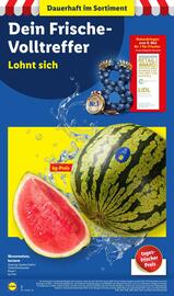 Lidl Prospekt woche 30 Seite 2