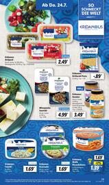 Lidl Prospekt woche 30 Seite 47