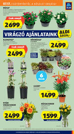 ALDI akciós újság Oldal 11