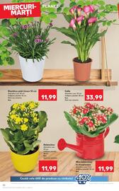 Catalog Kaufland săptămâna 29 Pagină 24