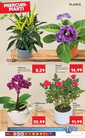 Catalog Kaufland săptămâna 29 Pagină 25