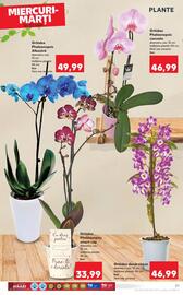 Catalog Kaufland săptămâna 29 Pagină 27