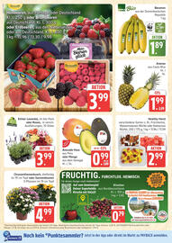 Marktkauf Prospekt Seite 6