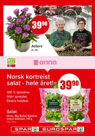 Eurospar Kundeavis uke 29 Side 10