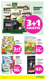 Ranzijn folder Pagina 2