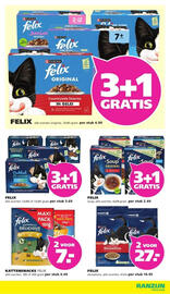 Ranzijn folder Pagina 3
