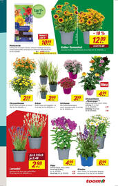 toom Baumarkt Prospekt woche 29 Seite 3