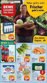 REWE Prospekt woche 29 Seite 1