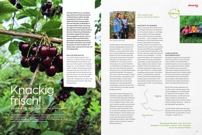 akzenta Prospekt Seite 13