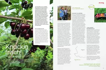 Akzenta Prospekt Seite 13