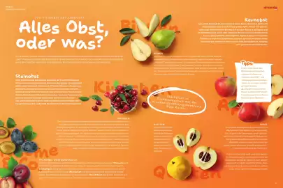 Akzenta Prospekt Seite 14