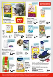 Hellweg Prospekt woche 29 Seite 10