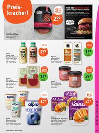 basic Prospekt woche 29 Seite 13